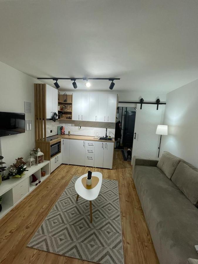 Apartman Element Krusevac Bagian luar foto
