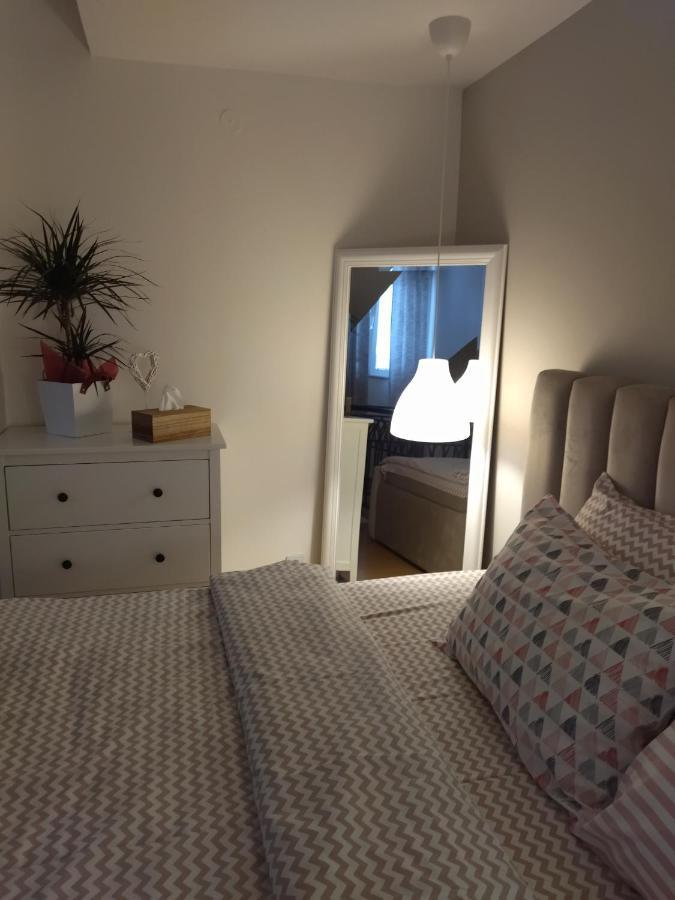 Apartman Element Krusevac Bagian luar foto