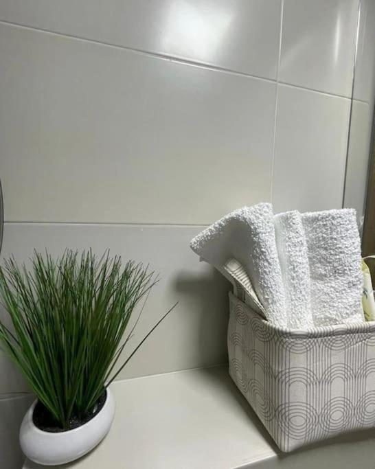 Apartman Element Krusevac Bagian luar foto