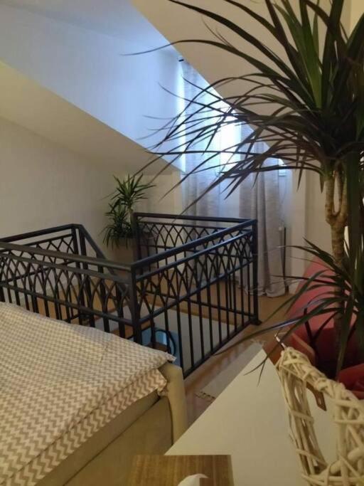 Apartman Element Krusevac Bagian luar foto